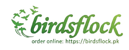 birdsflock.pk